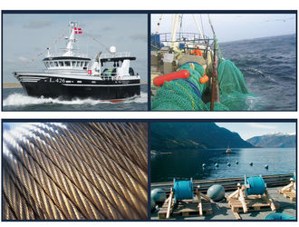Κίνα Chongqing Honghao Technology Co., Ltd. Προφίλ εταιρείας