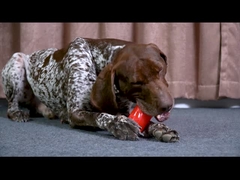 Ρεαλιστικό Παιχνίδι Μαγείρεμα με Εγκραμμένα Εγκραμμένα Εγκραμμένα Εγκραμμένα